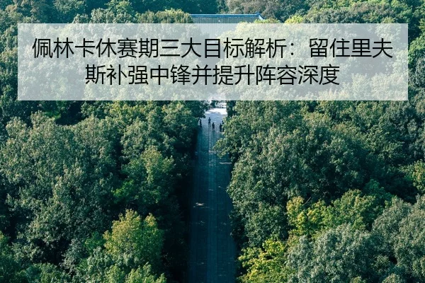 佩林卡休赛期三大目标解析：留住里夫斯补强中锋并提升阵容深度